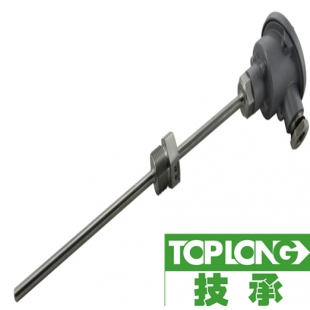 接线盒式PT100铂热电阻-6300A型